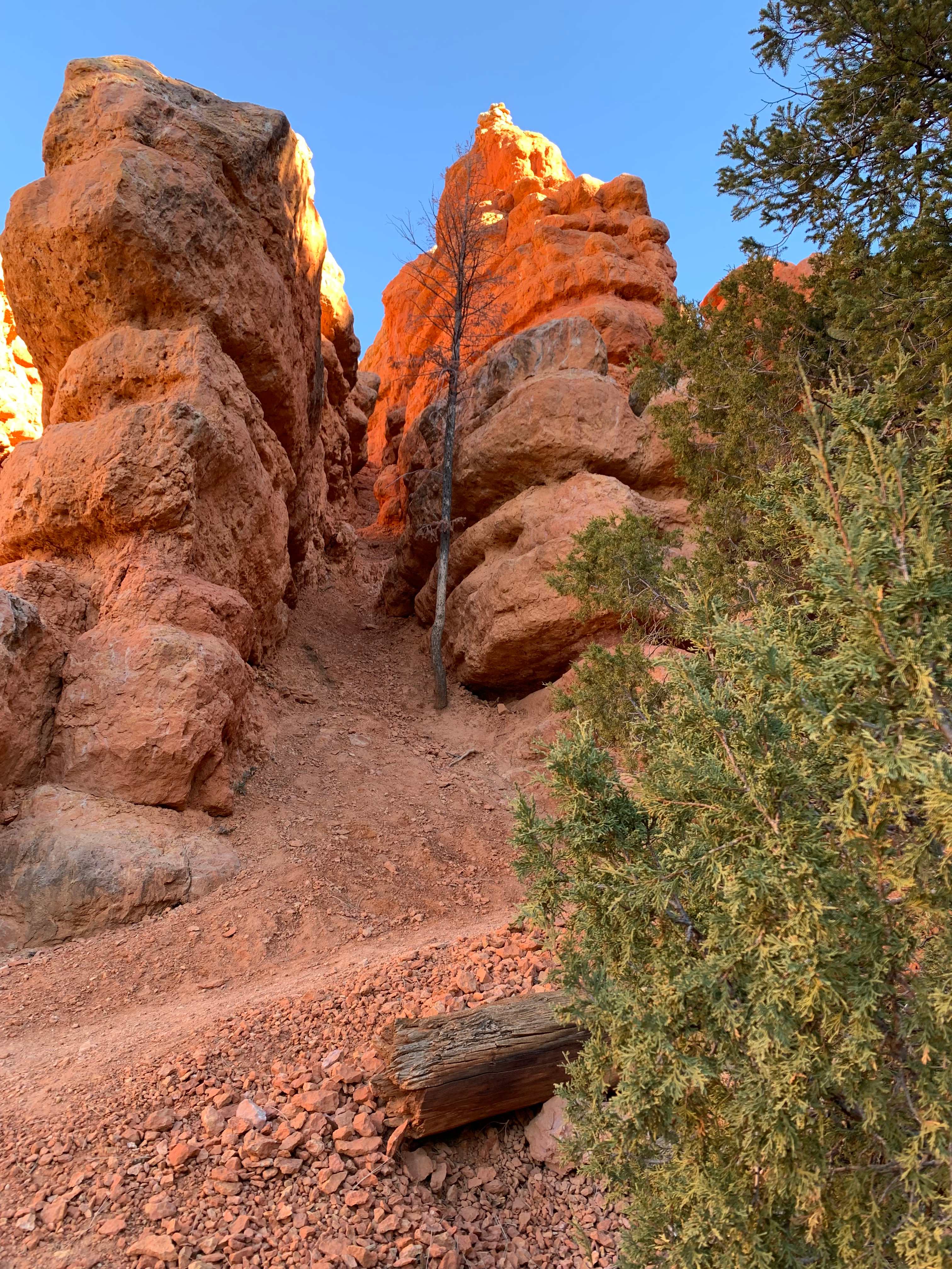 Red Canyon